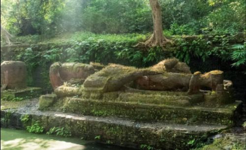 Bandhavgarh Tiger Reserve